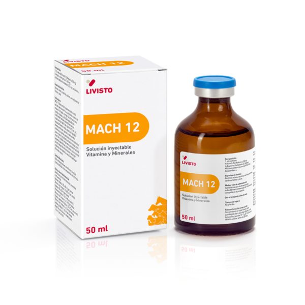MACH 12 - Imagen 2