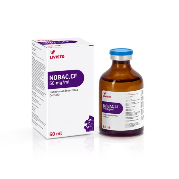 NOBAC.CF - Imagen 2